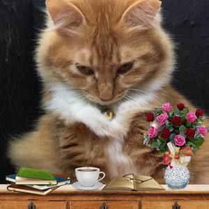 Meet your Posher, Imelda